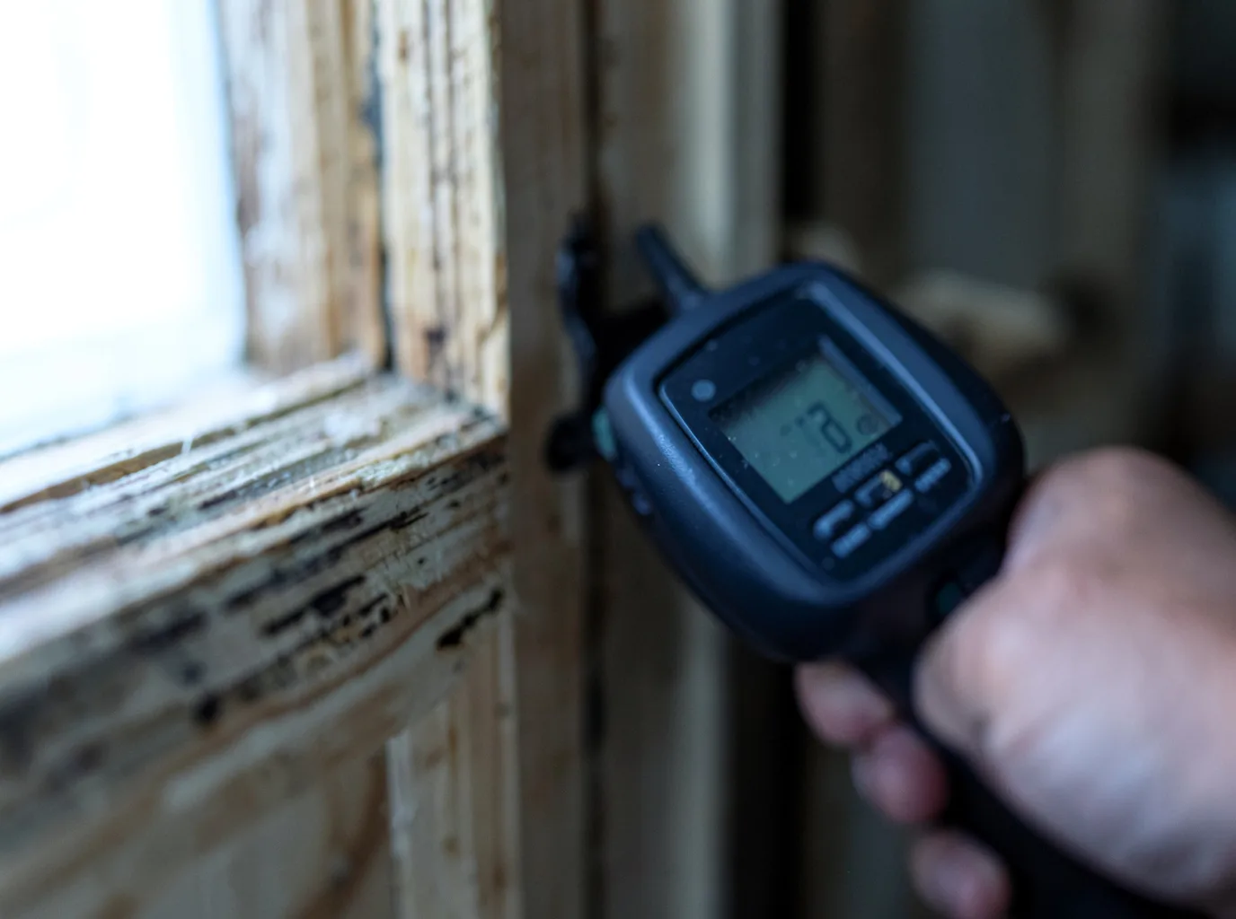 Moisture Inspection And Documentation in Honaker, VA